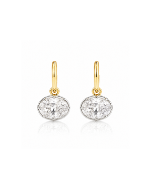 Hailey Earrings Two Tone - PREORDER 13TH NOV